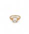 24Kae  Ring met kleursteen 925 Sterling zilver 12410YW Yellow