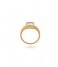24Kae  Ring met kleursteen 925 Sterling zilver geelgoud verguld 12410YW Yellow