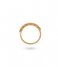24Kae  Ring met kleurstenen- 925 Sterling zilver geelgoud verguld 12415Y Yellow
