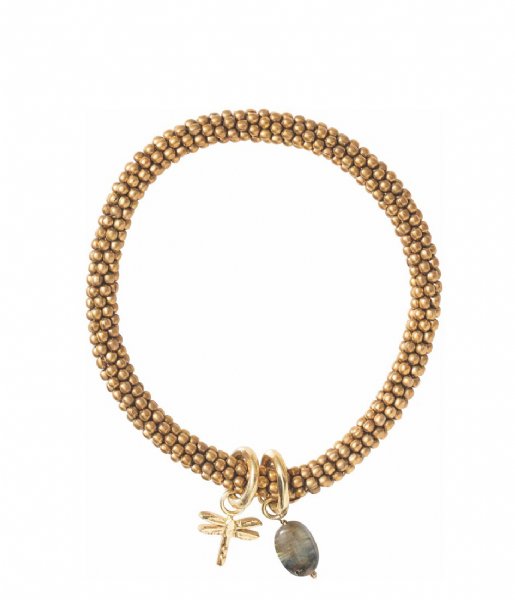 A Beautiful Story  Jacky Labradorite Dragonfly Gold Bracelet Goud