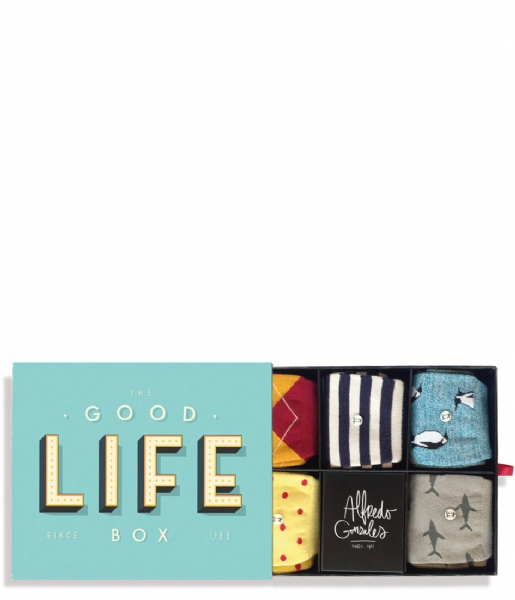 Alfredo Gonzales  The Good Life Socks Box good life box