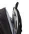 American Tourister  Upbeat Laptop Backpack Zip 15.6 Inch M Black (1041)
