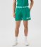 Bjorn BorgBorg Short Shorts Verdant Green (GN078)