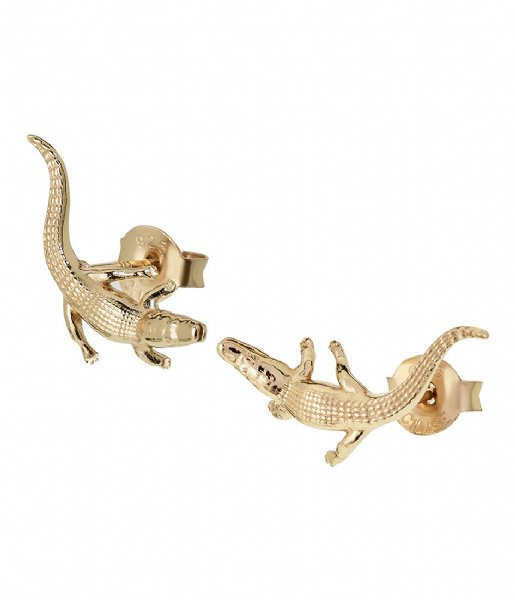 CLUSE  Force Tropicale Alligator Stud Earrings gold plated (CLJ51018)
