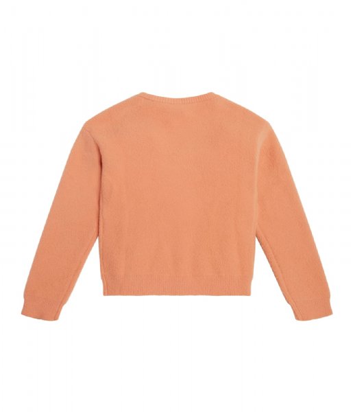 Guess  Girls Long Sleeve Sweater Fuji Sunrise (G3I1)