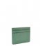 HVISK  Cardholder Structure Foggy Green (262)