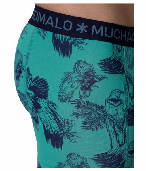 Muchachomalo  Short Print Solid 3 Pack Blue