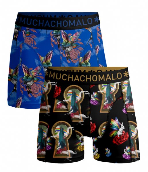Muchachomalo  Shorts Over The Rainbow 2-Pack Print Print