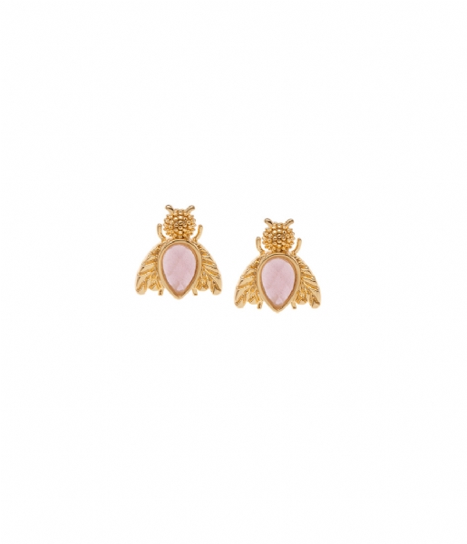 Orelia  Semi Precious Bug Stud Earrings rose color