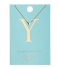 Orelia  Necklace Initial Y pale gold plated (21170)