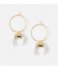 Orelia  Horn And Hoop Earrings pale gold plated (22895)