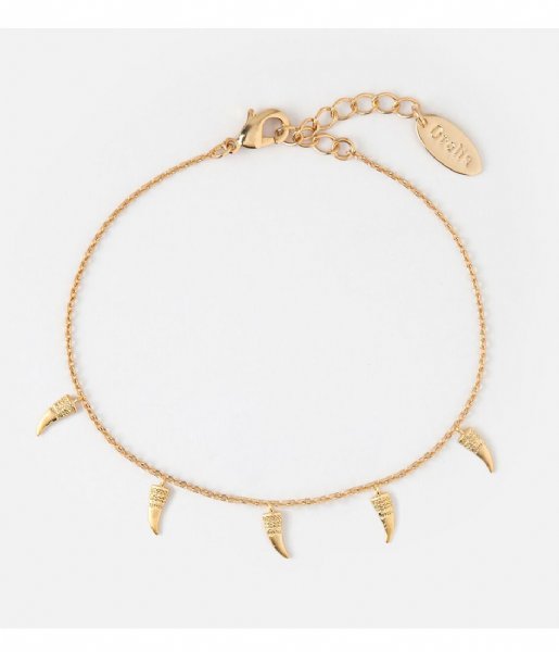 Orelia  Mini Tusk Charm Drop Anklet pale gold plated (22868)