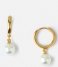Orelia  Pearl Drop Huggie Hoops gold plated (ore25004)