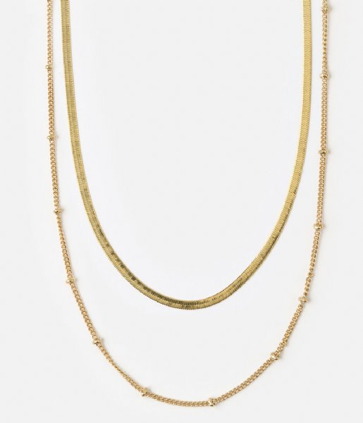 Orelia  Satellite Flat Snake Layered Chain gold plated (ore25026)