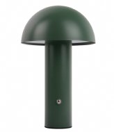 Leitmotiv Table Lamp Fuego Led Iron Jungle Green (LM2164GR)