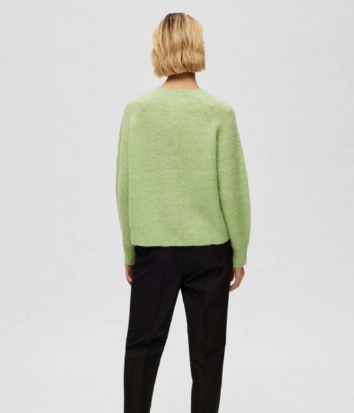 Selected Femme  Lulu Long Sleeve Knit Short Cardigan Pistachio Green (#A9D39E)