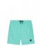 Shiwi  Boys Swimshort Recycled Mike Parrot Blue (653)