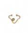 The Little Green Bag  Wave Ring X My Jewellery gold