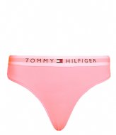 Tommy Hilfiger Thong Ext Sizes Teaberry Blossom (TJ5)