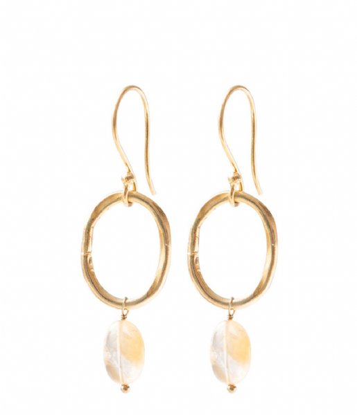 A Beautiful Story  Graceful Citrine Gold Plated Earrings gold plated (AW25134)