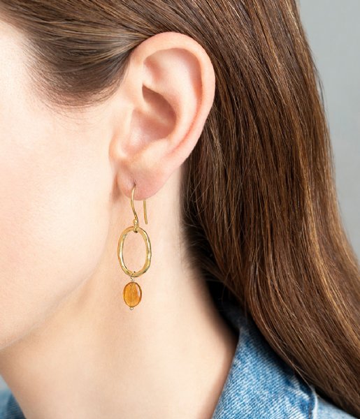 A Beautiful Story  Graceful Citrine Gold Plated Earrings gold plated (AW25134)