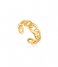 Ania Haie  925 Sterling Zilver Curb Chain Adjustable Ring Goudkleurig