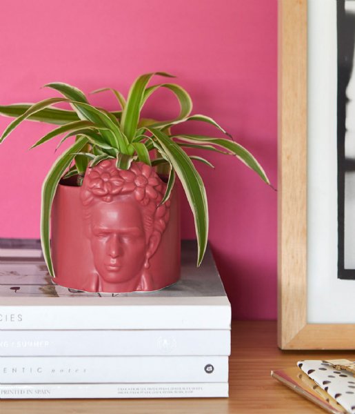 Balvi  Mini Flower Pot Frida Pink
