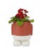 Balvi  Flower Pot Mr Standy Red