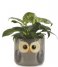 BalviFlower Pot Owl Gray