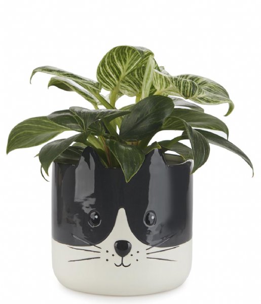 Balvi  Flower Pot Kitty Black White