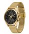 BOSS  Watch Skymaster Gold colored