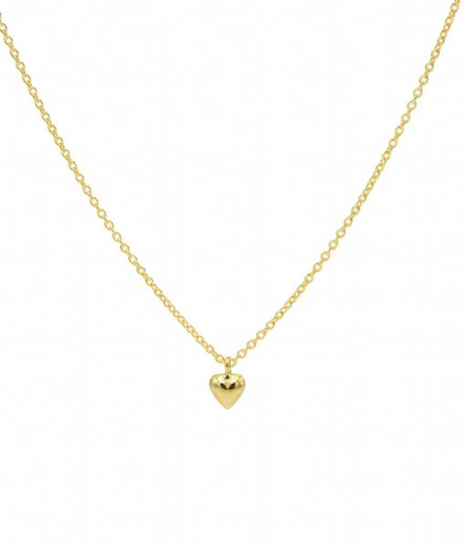 Karma  Karma Necklace 3D Heart Zilver Goldplated (T247)