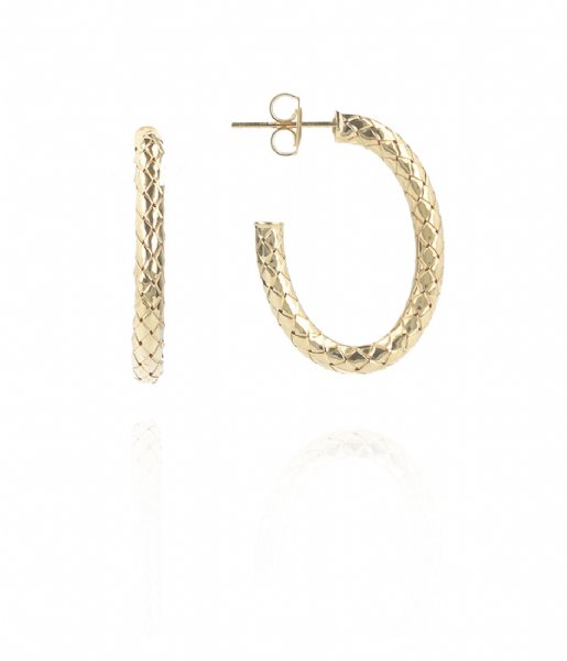 LOTT Gioielli  CL Earring Cobra creole Oval S Gold Gold plated