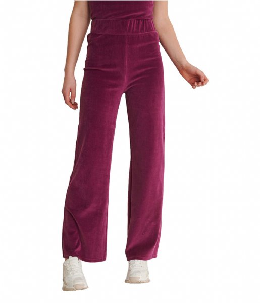 NA-KD  Velour Pants Purple