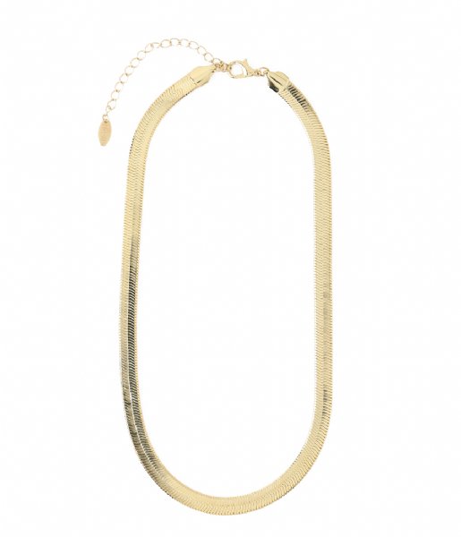 Orelia  Chunky Flat Snake Chain Necklace Gold plated
