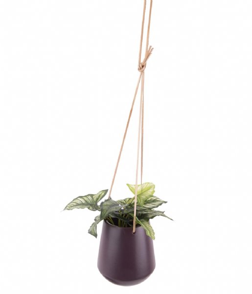 Present Time  Hanging pot Skittle medium matt Dark Purple (PT2846PU)