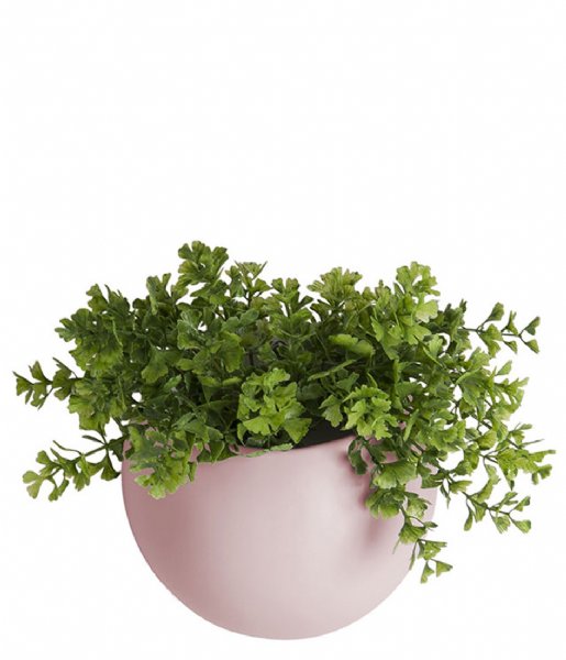 Present Time  Wall plant pot Globe ceramic light pink (PT3382PI)