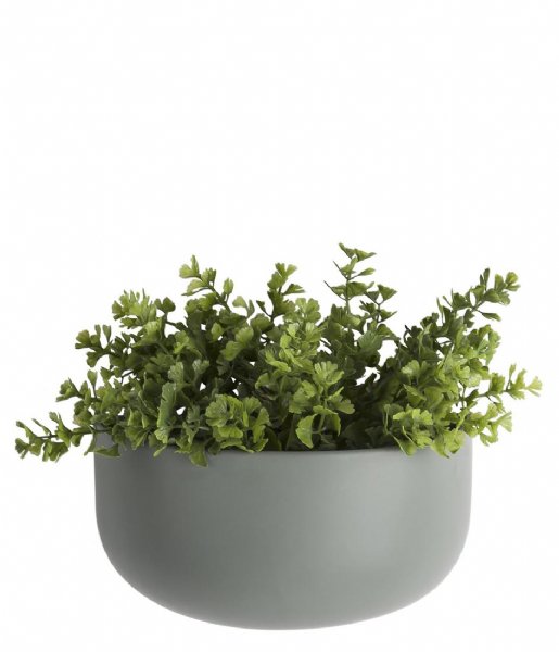Present Time  Wall plant pot Oval wide ceramic matt green (PT3384GR)