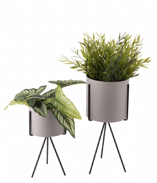 Present Time  Plant pot set Pedestal iron Warm Grey (PT3426WG)