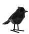 Present Time  Statue bird large polyresin flocked Flocked Black (PT3551BK)
