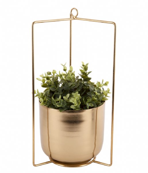 Present Time  Hanging plant pot Spatial iron Antique gold colored (PT3464GD)