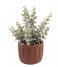Present Time  Plant pot Drips cement large Clay brown (PT3603BR)