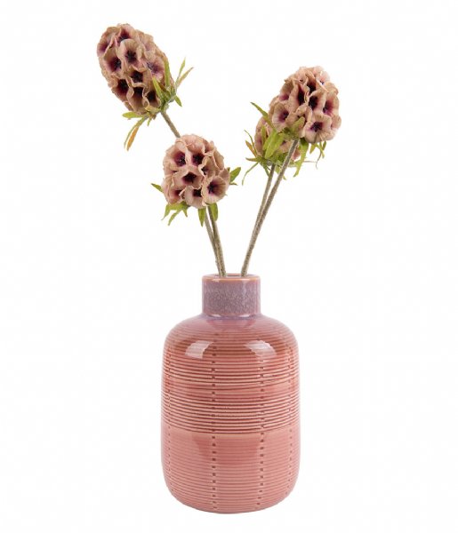 Present Time  Vase Bottle ceramic medium Pink (PT3594PI)