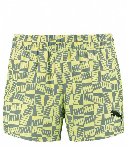 Puma  Swim Block Logo Short Shorts 1P Sea Green (001)