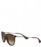 Ray Ban  Youngster Erika Rubber Havana (865/13)