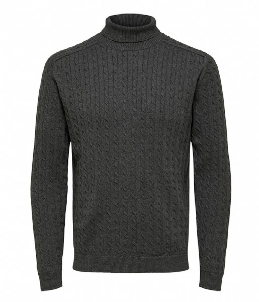 Selected Homme  Aiko Long Sleeve Knit Cable Roll Neck B Dark Grey Melange (#424242)
