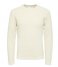 Selected Homme  Rocks Long Sleeve Knit Crew Neck W Tradewinds
