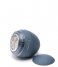 Steamery  Pilo Fabric Shaver Blue (0431)