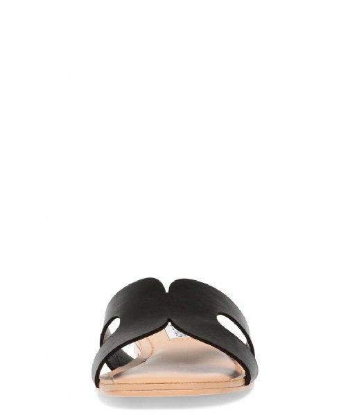 Steve Madden  Zarnia Sandal Black Leather (017)