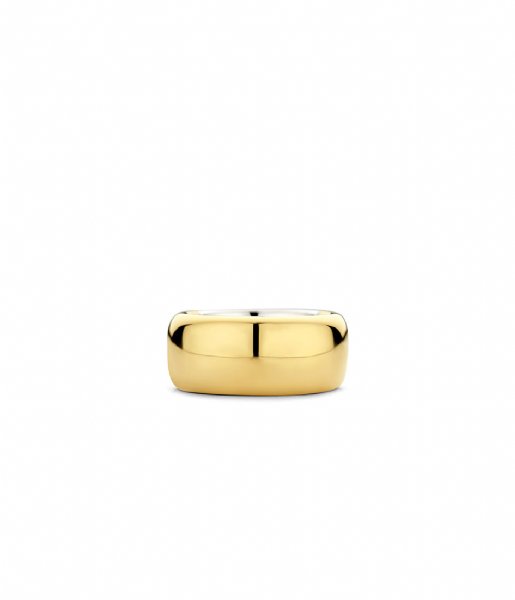 TI SENTO - Milano  925 Sterling Zilveren Ring 12234 Silver yellow gold plated (12234SY)